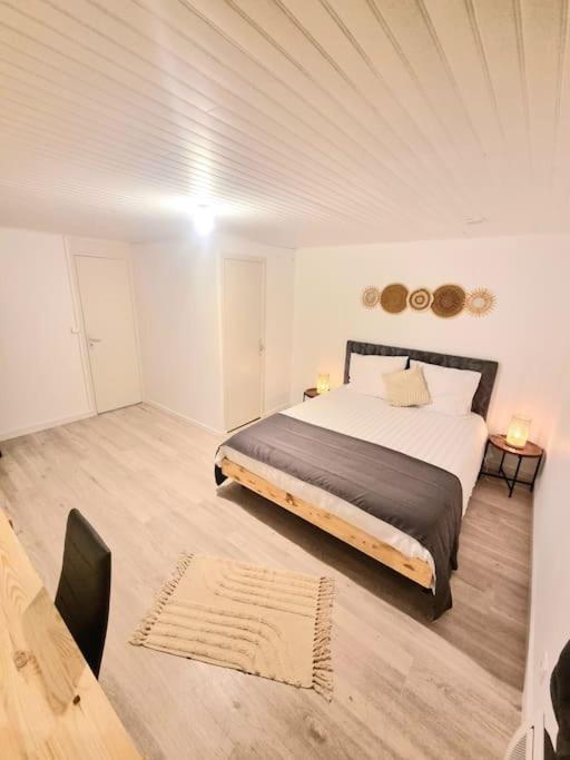 Appartement Neuf Rive-de-Gier Екстериор снимка